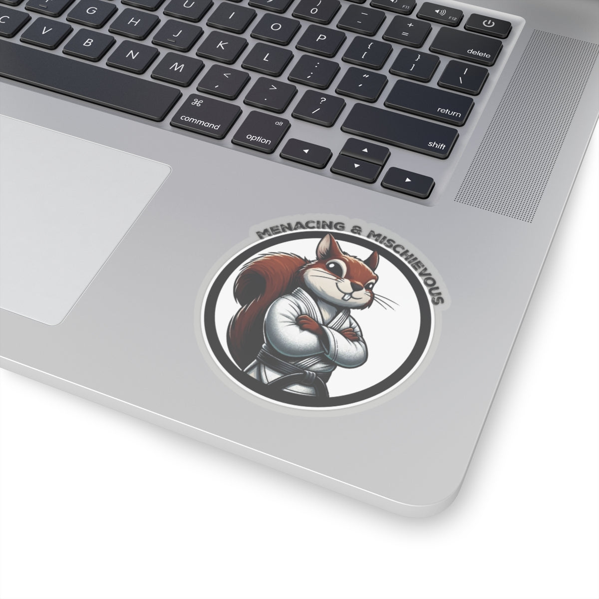 Secret Squirrel White Belt Decal