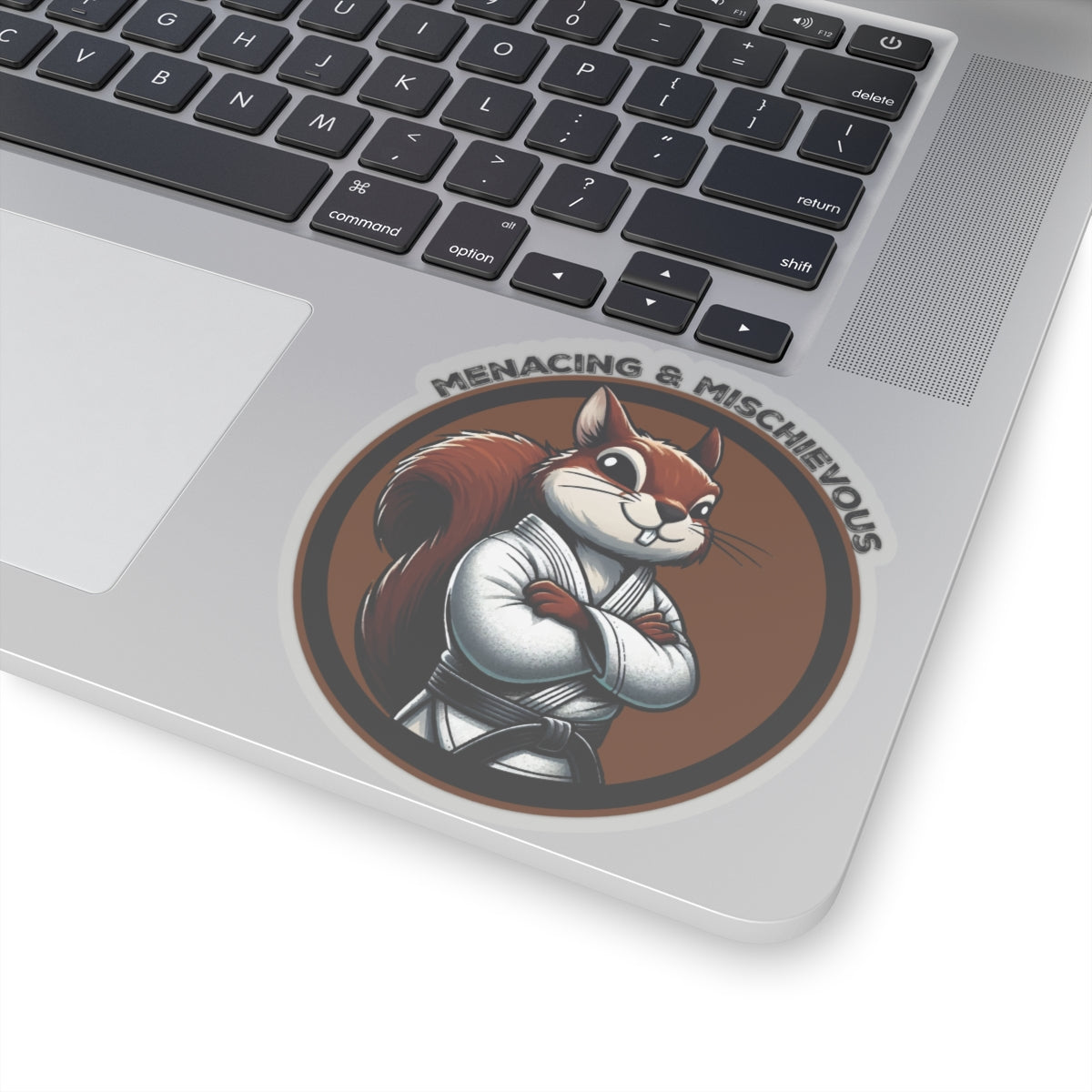 Secret Squirrel Brown Belt Decal