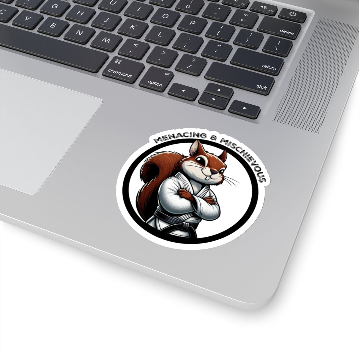 Secret Squirrel White Belt Decal