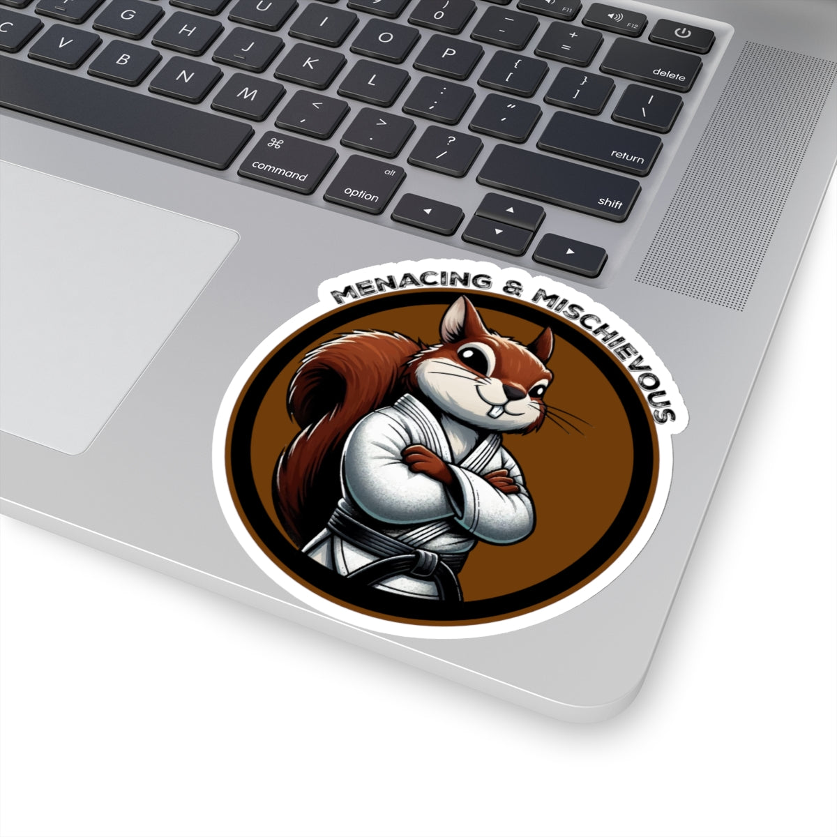 Secret Squirrel Brown Belt Decal