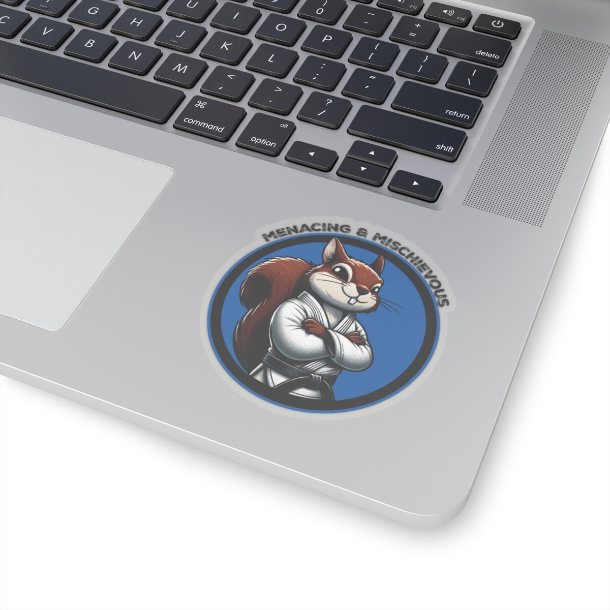 Secret Squirrel Blue Belt Decal