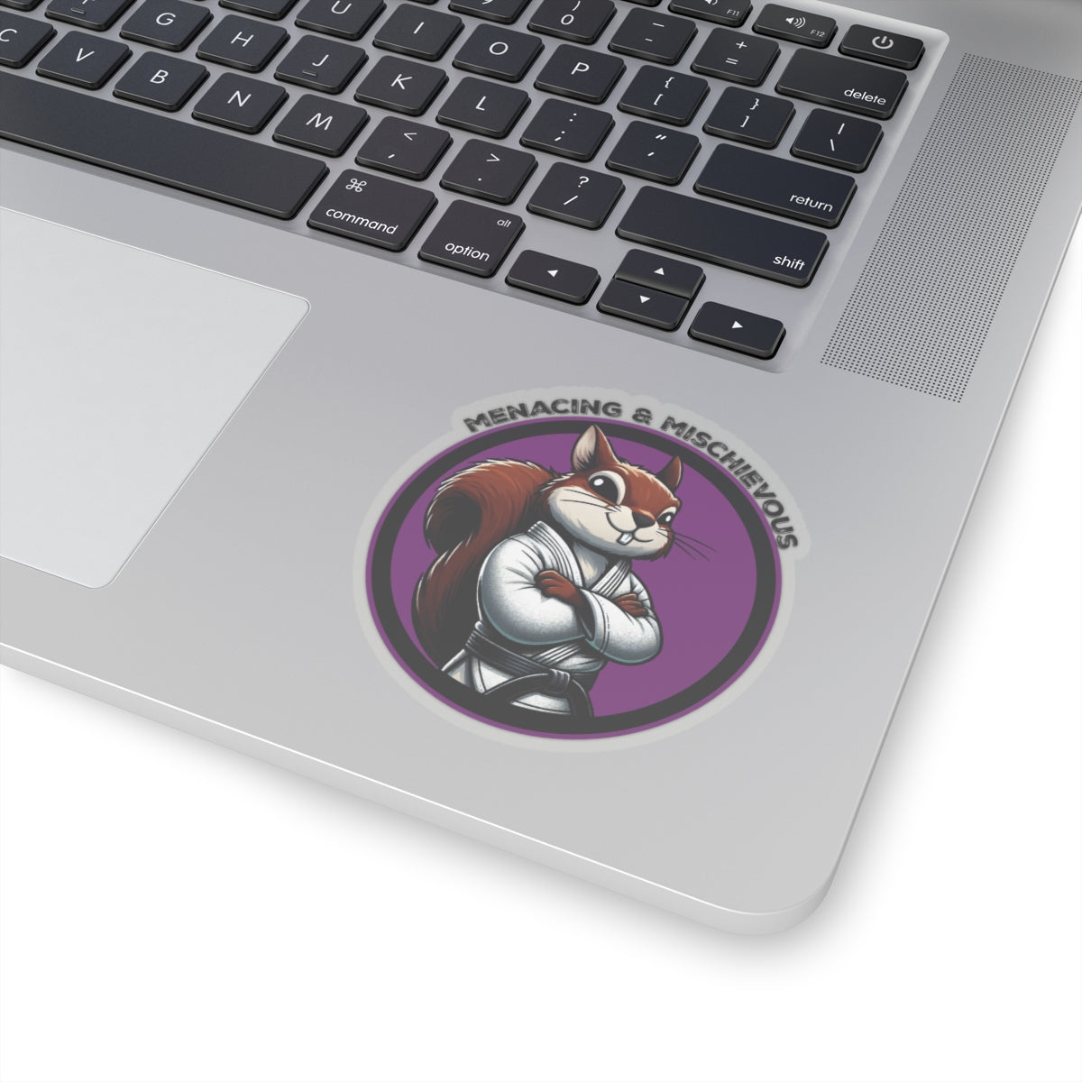 Secret Squirrel Purple Belt Decal