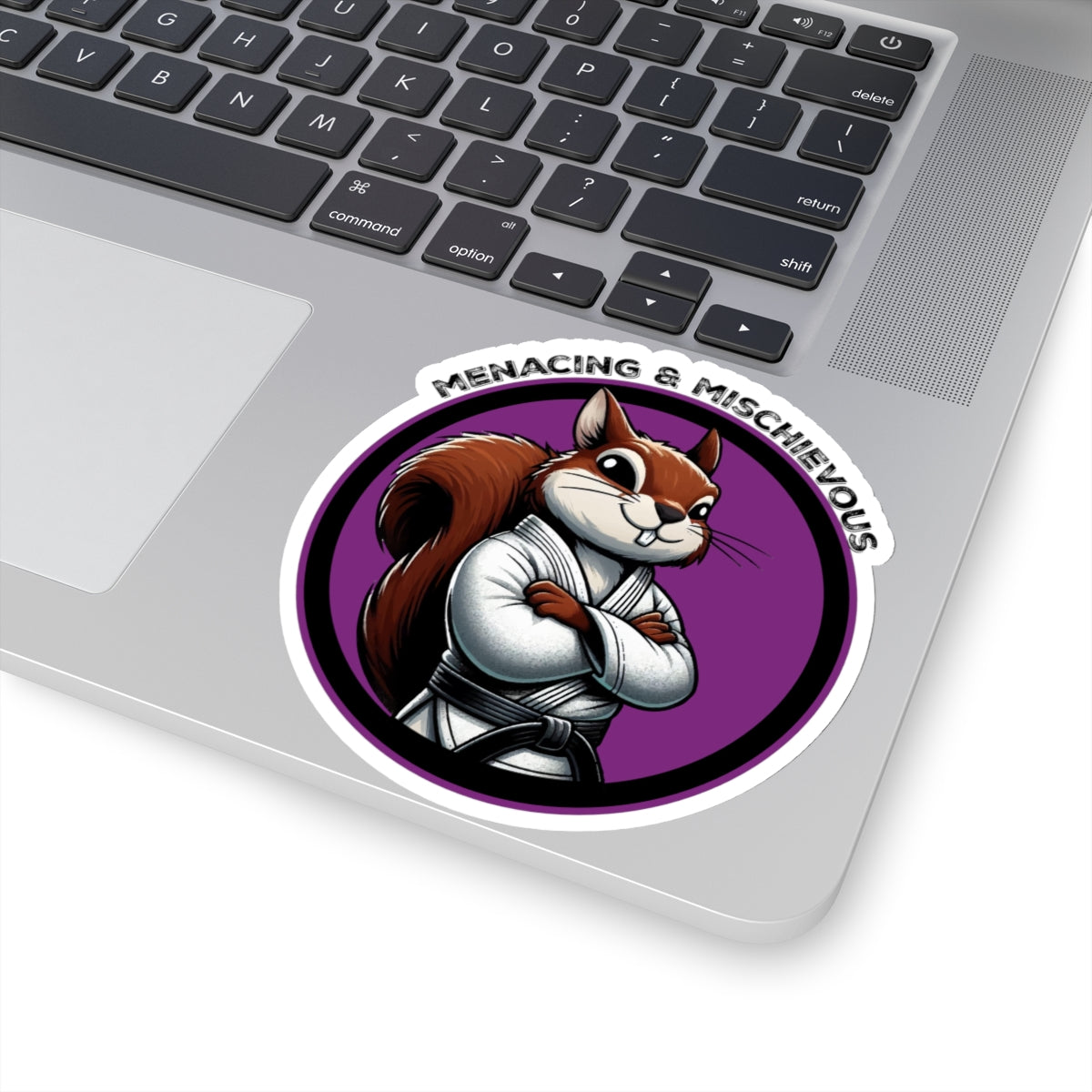Secret Squirrel Purple Belt Decal