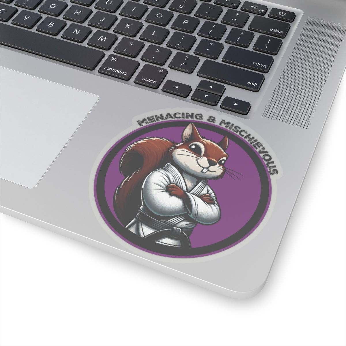 Secret Squirrel Purple Belt Decal