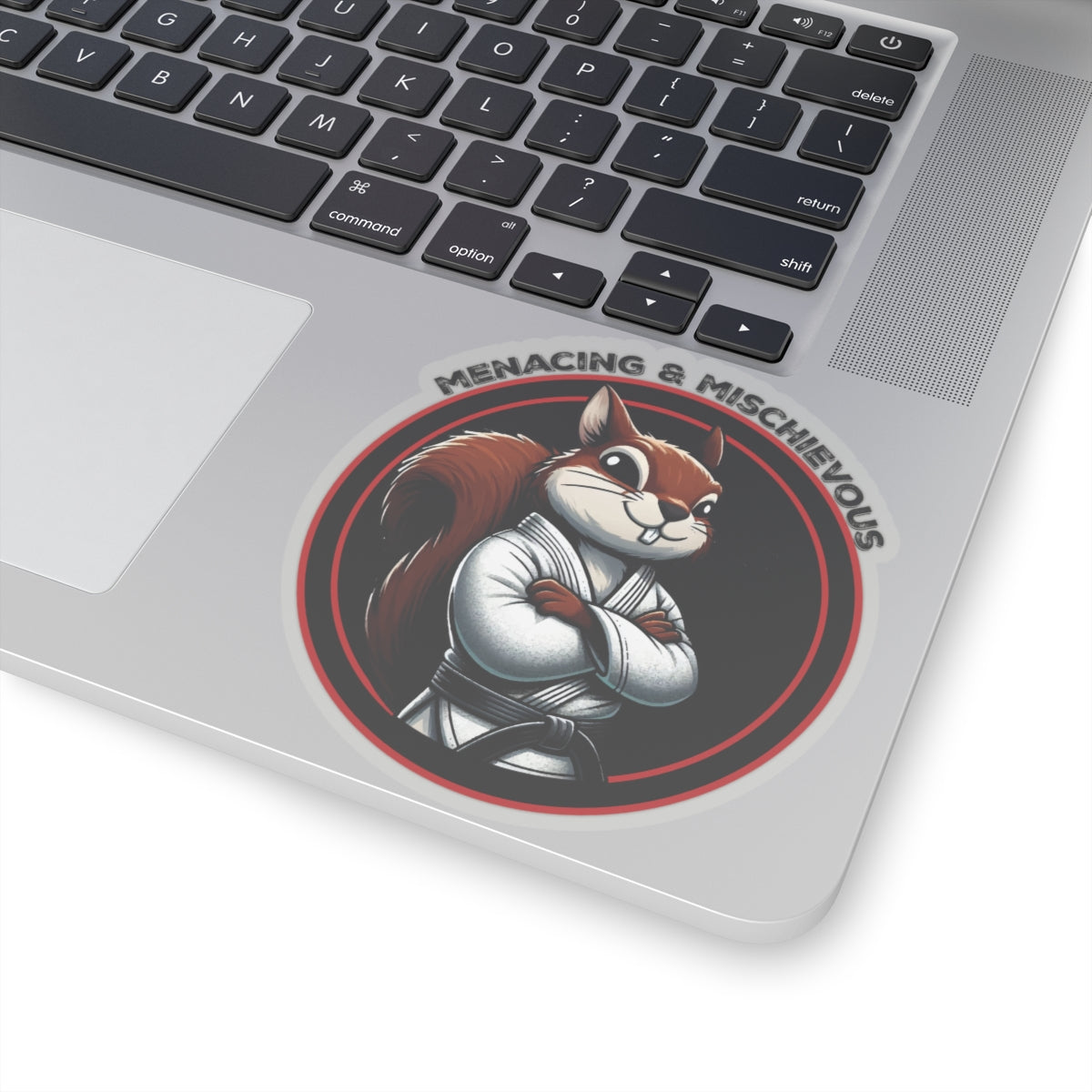 Secret Squirrel Black Belt