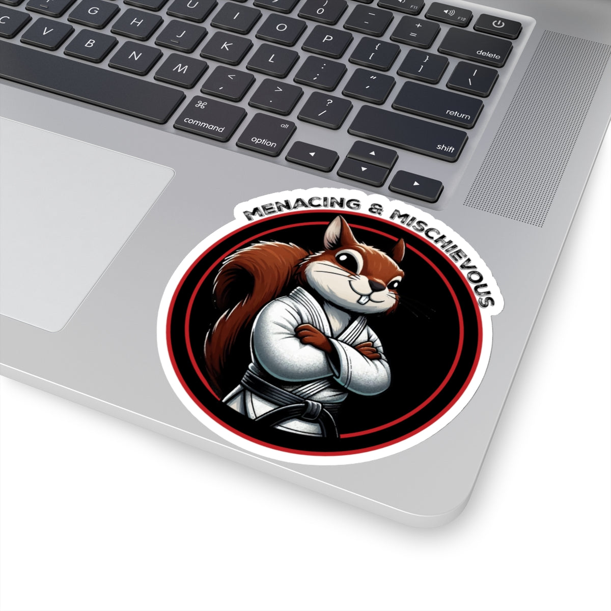 Secret Squirrel Black Belt