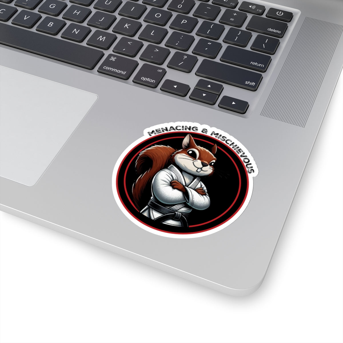 Secret Squirrel Black Belt