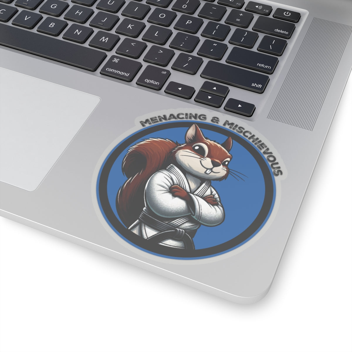 Secret Squirrel Blue Belt Decal