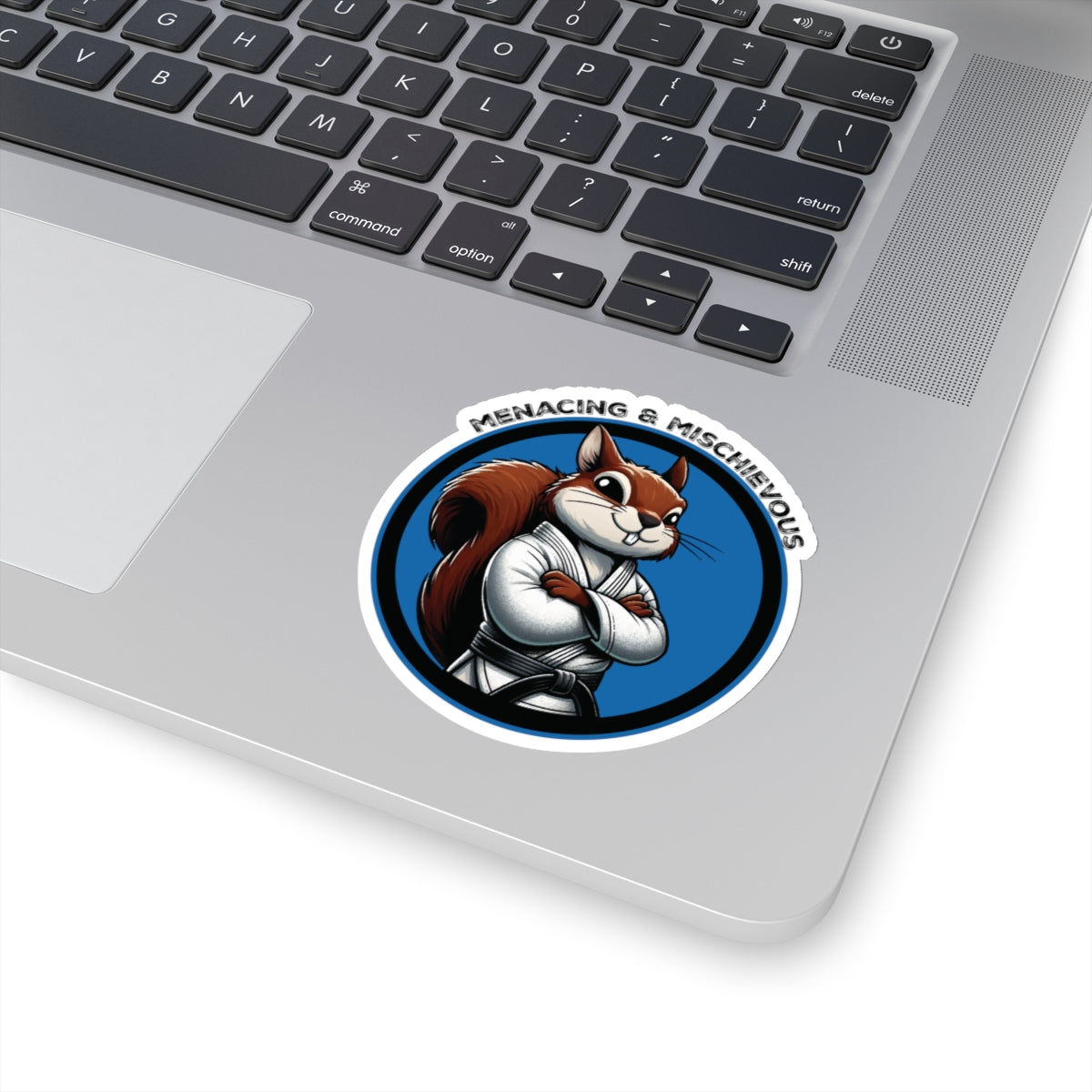 Secret Squirrel Blue Belt Decal