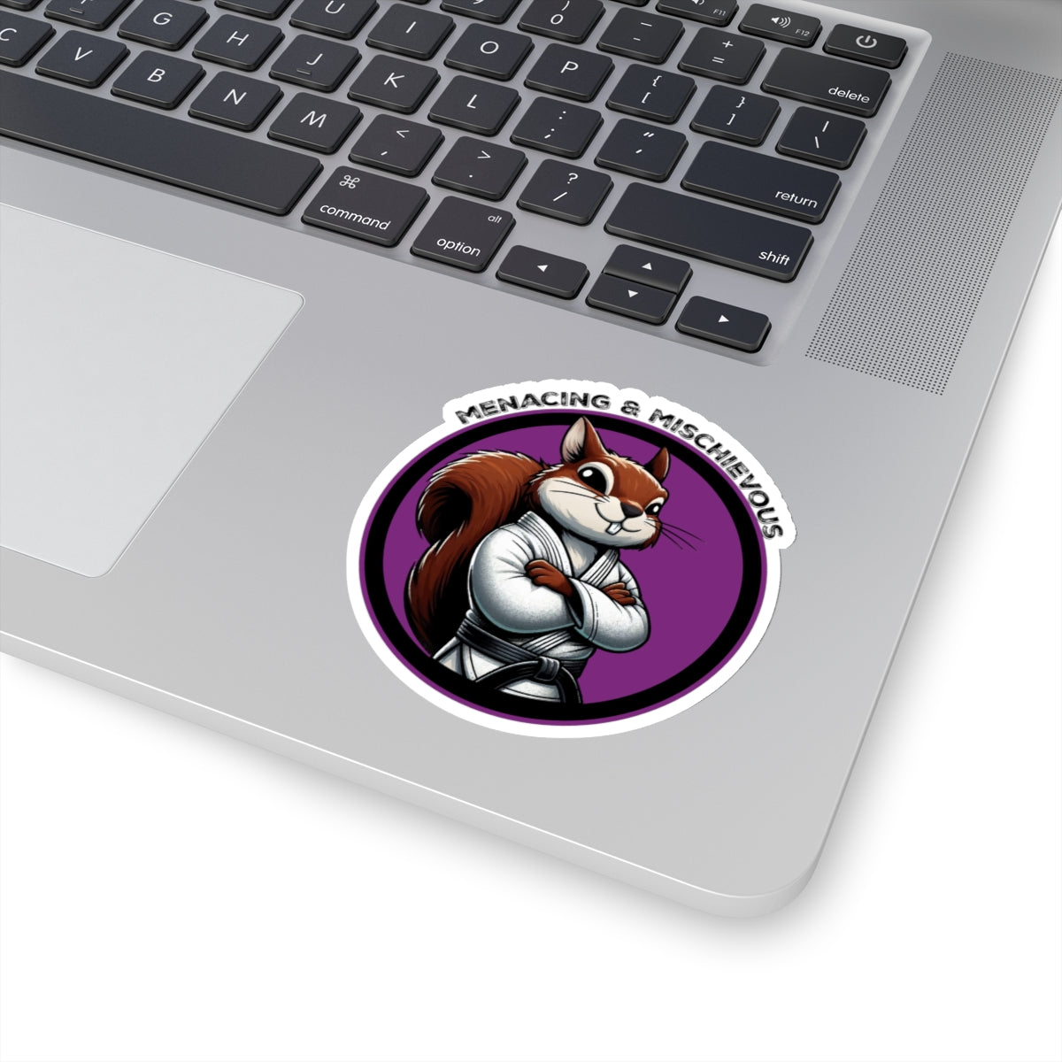 Secret Squirrel Purple Belt Decal