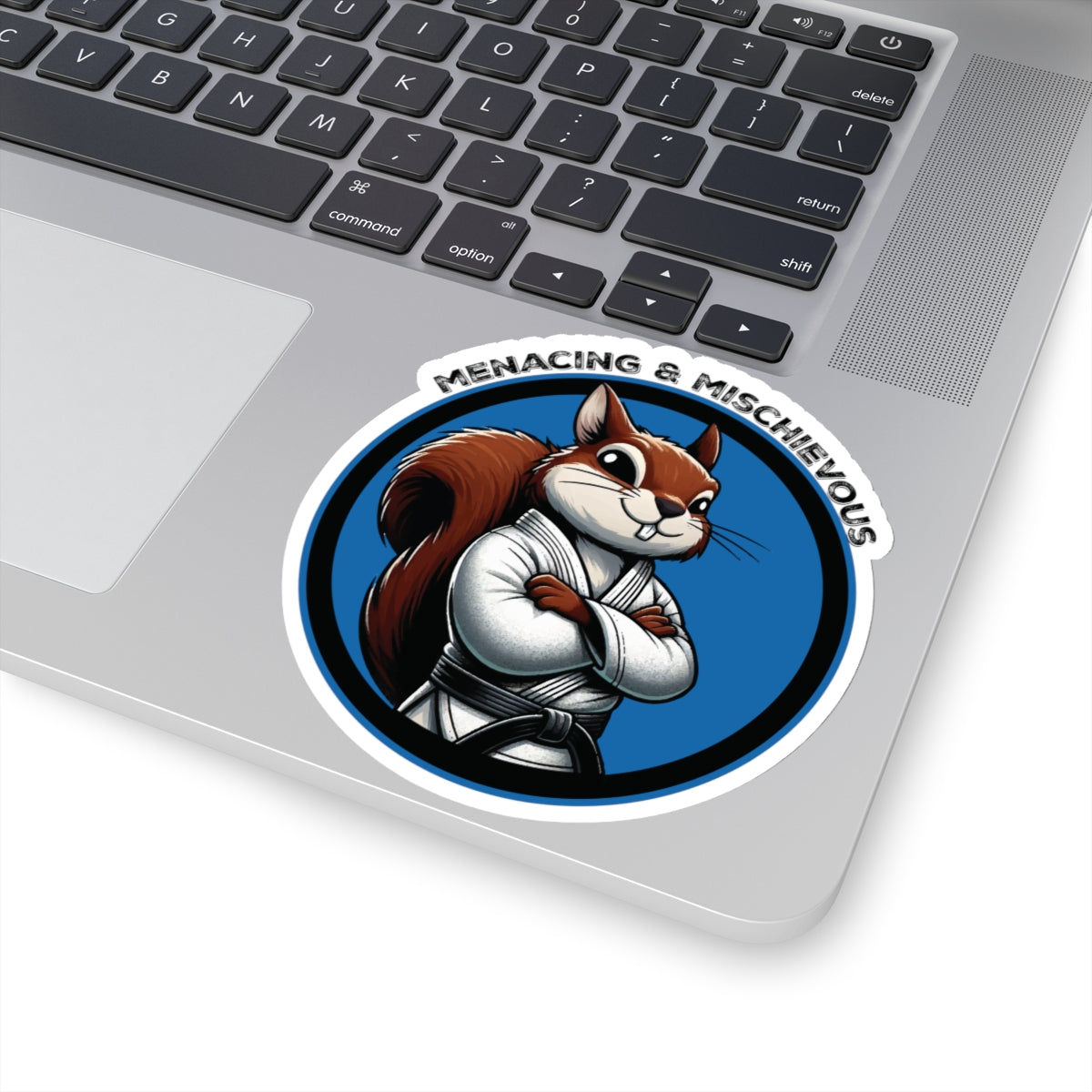 Secret Squirrel Blue Belt Decal