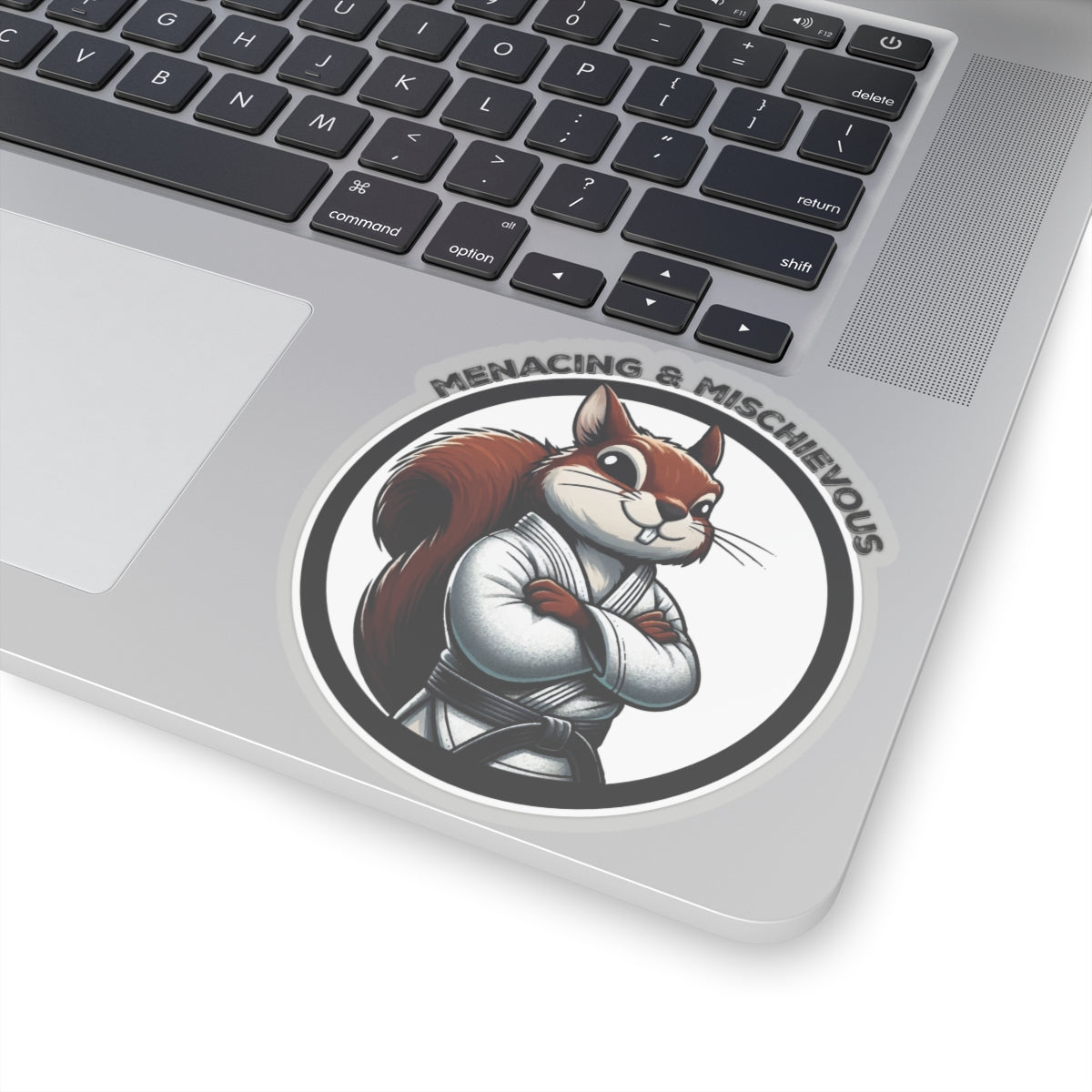 Secret Squirrel White Belt Decal
